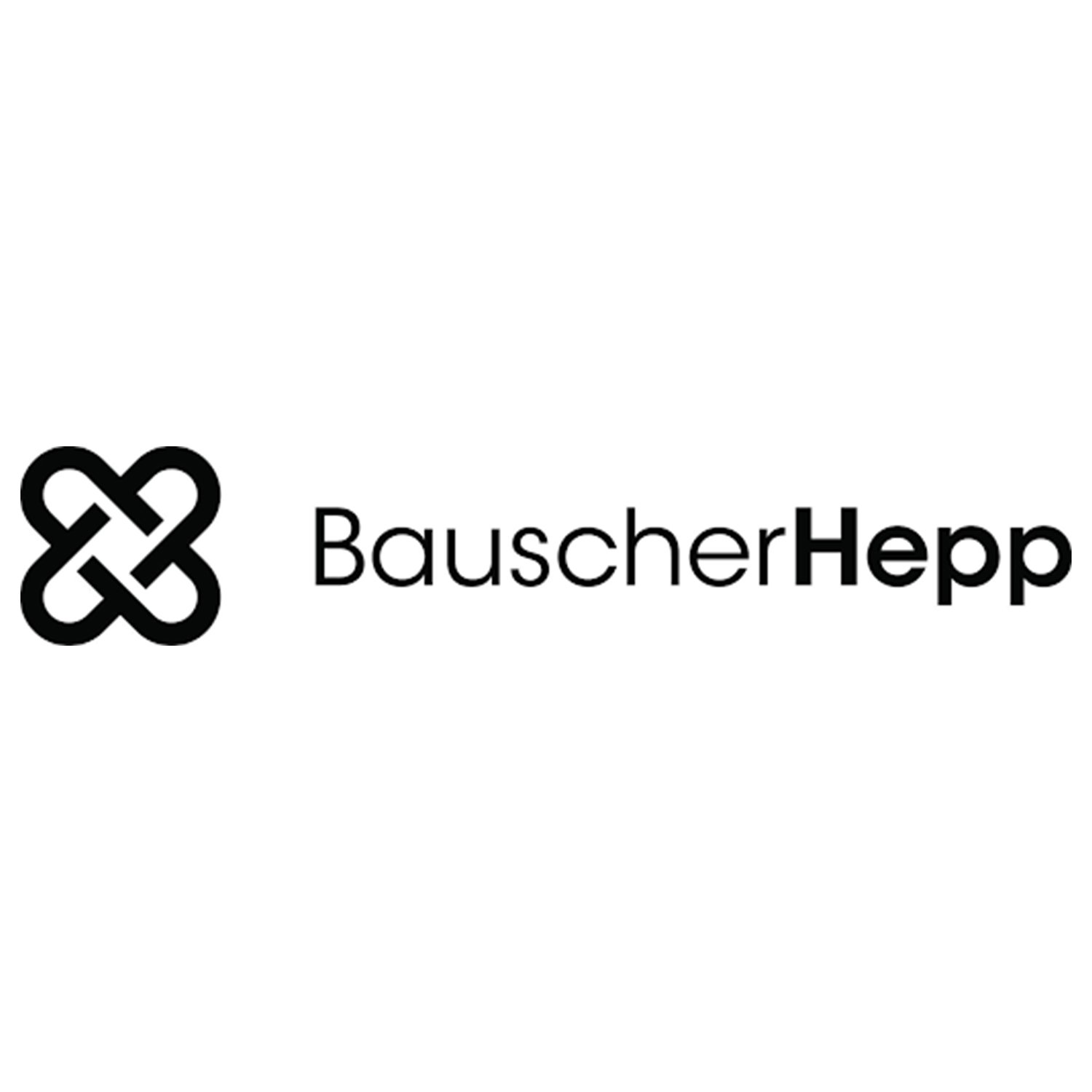 Bauscher Hepp Logo