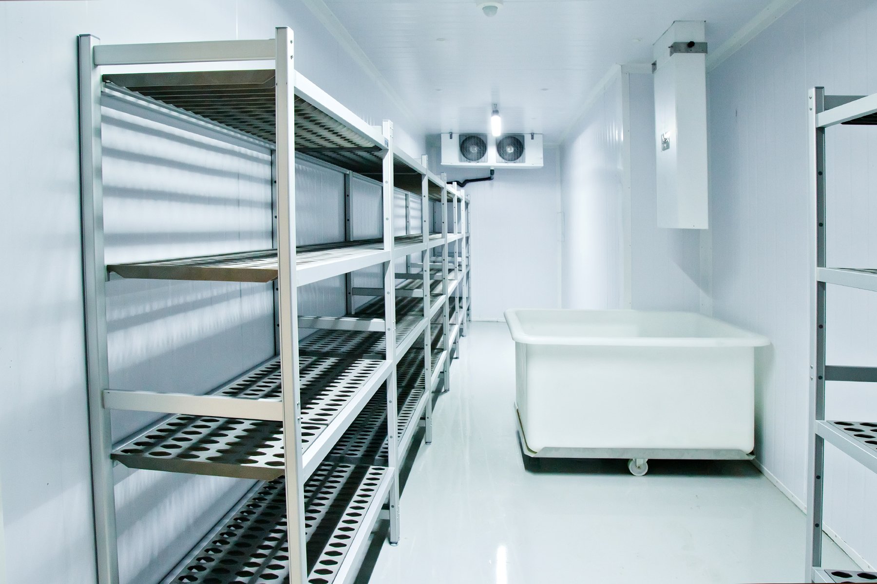 Interior of Industrial Freezer