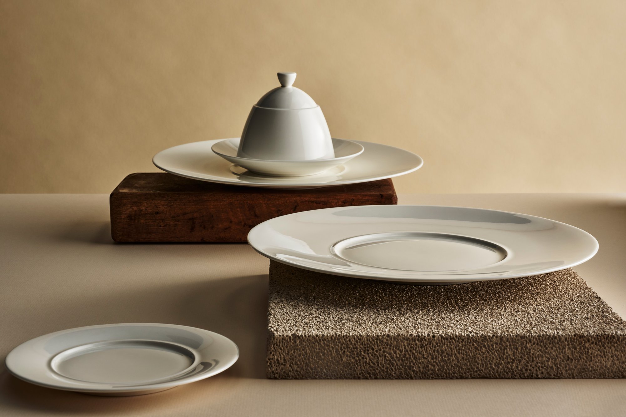 ReneOzorio_Plates_array_v1