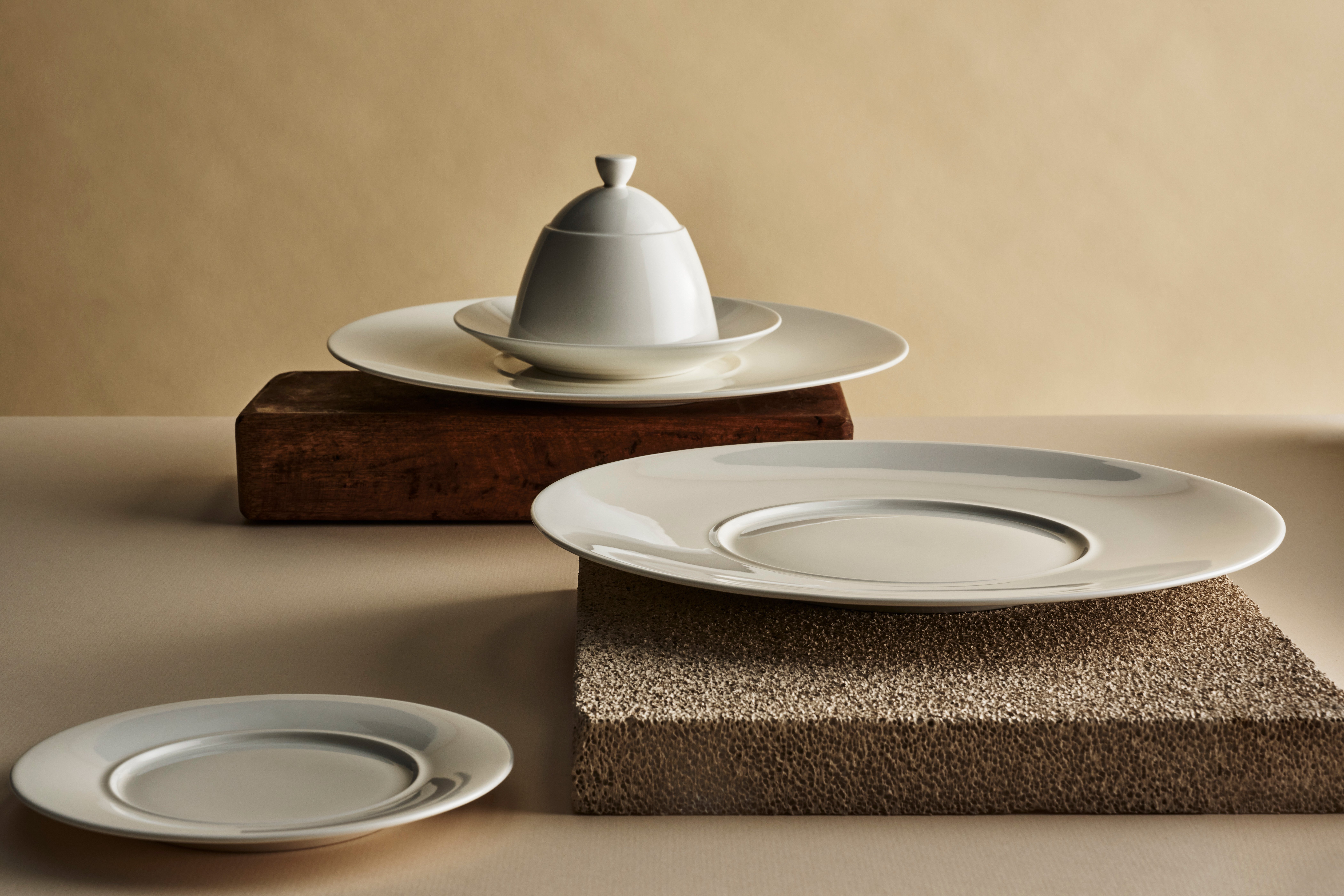 ReneOzorio_Plates_array_v1