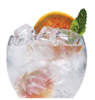 Manitowoc Dice Ice Shape